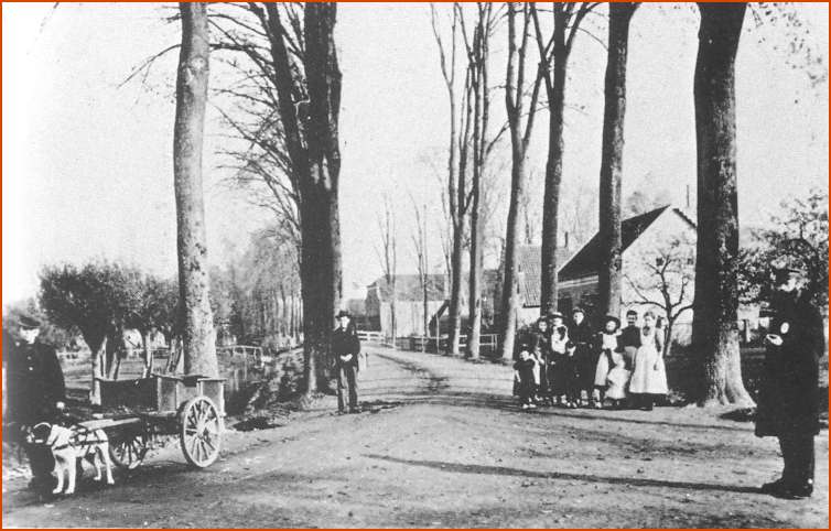 Dubbeldamseweg, Dubbeldam, ca1905.