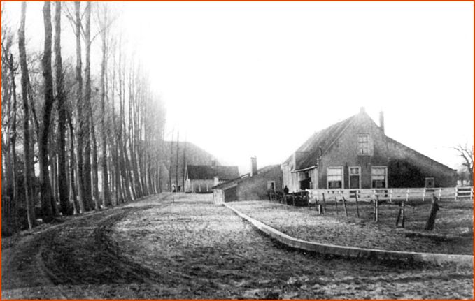 Dubbeldamseweg  - Mariastraat, Blauwhuis - Blau Camer, 1900 